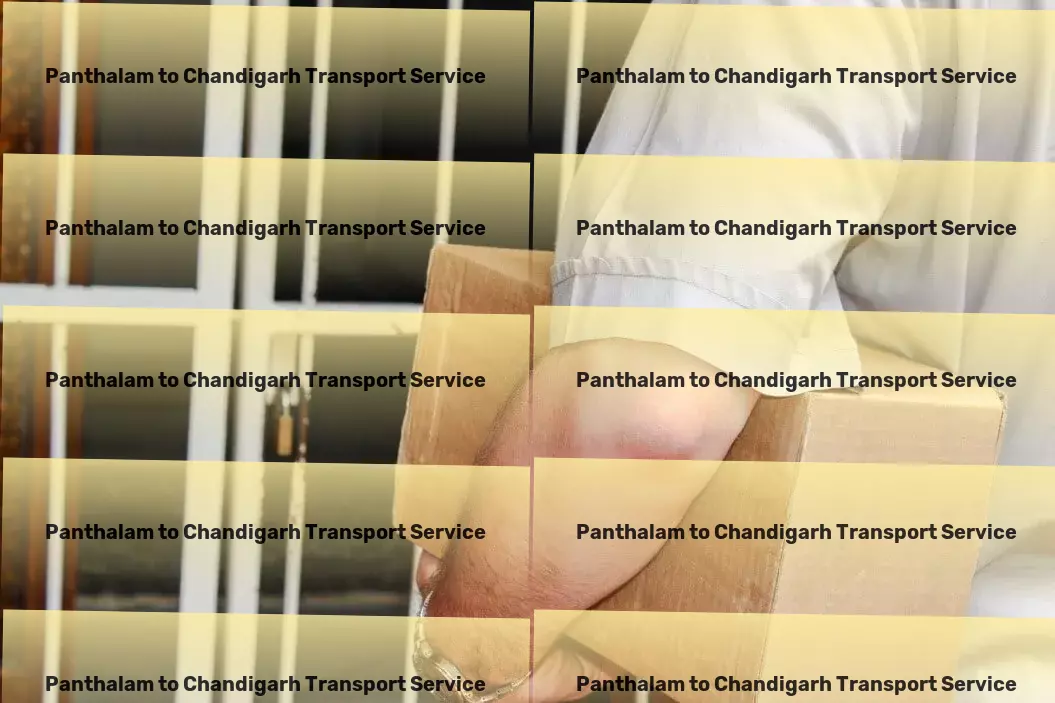 Panthalam to Chandigarh Transport Local freight transport services