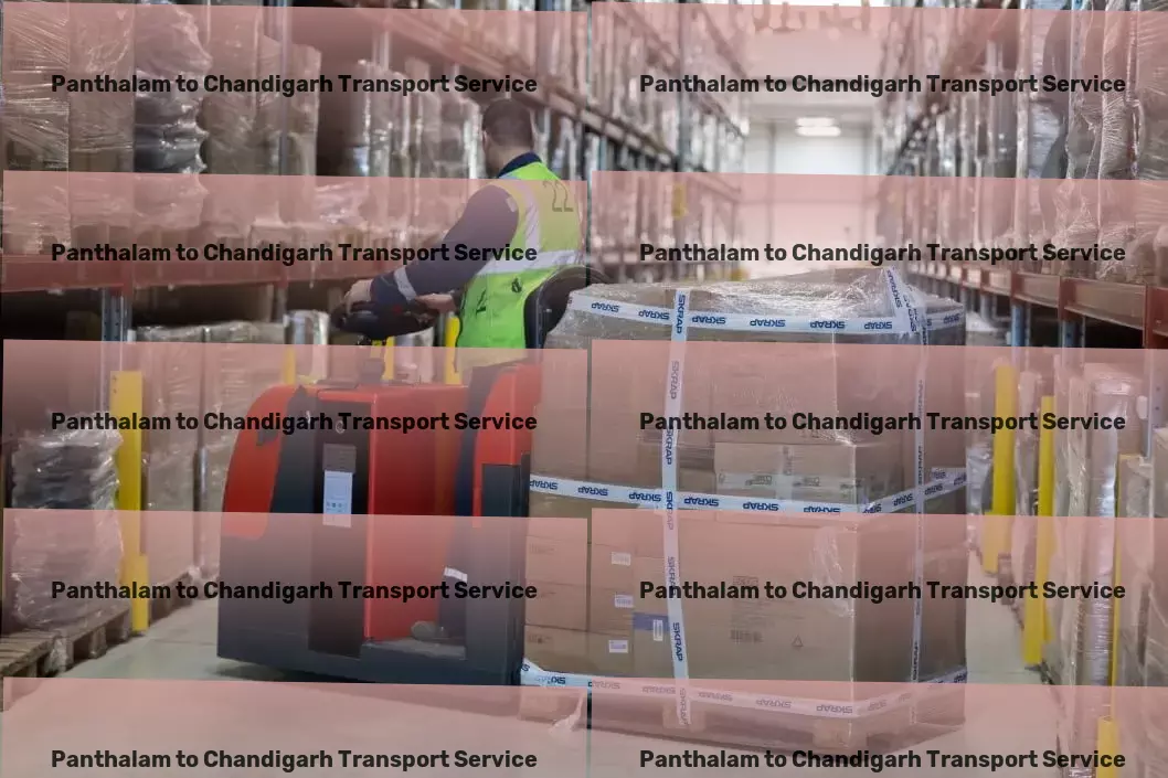 Panthalam to Chandigarh Transport Specialized parcel delivery