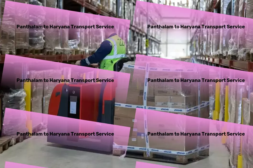 Panthalam to Haryana Transport Nationwide logistics