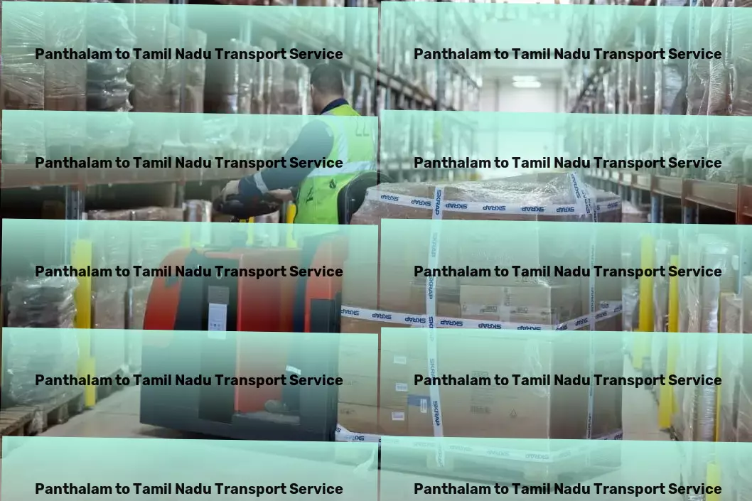 Panthalam to Tamil Nadu Transport Ignite your taste buds with spicy cuisine recipes! - Urban freight forwarding