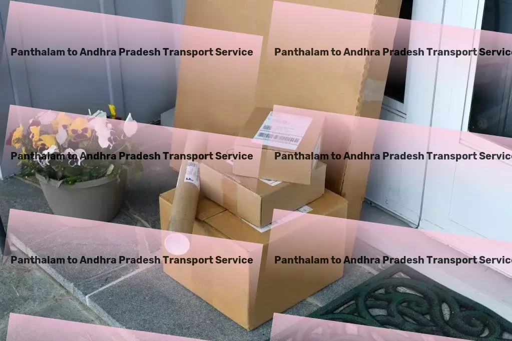 Panthalam to Andhra Pradesh Transport Customized courier services