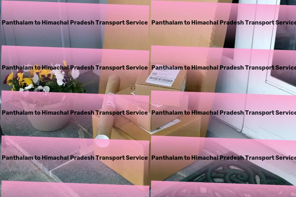 Panthalam to Himachal Pradesh Transport Specialized household moving