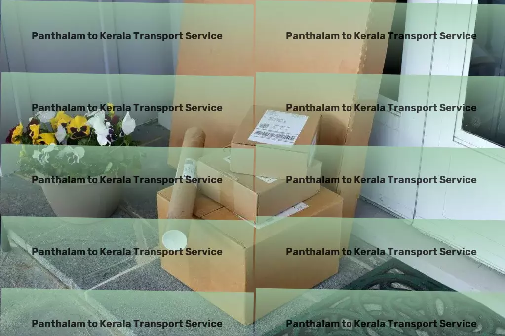 Panthalam to Kerala Transport Local transport solutions