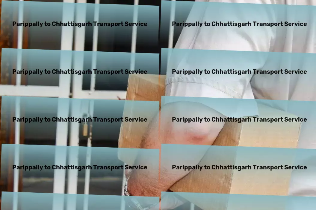 Parippally to Chhattisgarh Transport Transport and delivery network