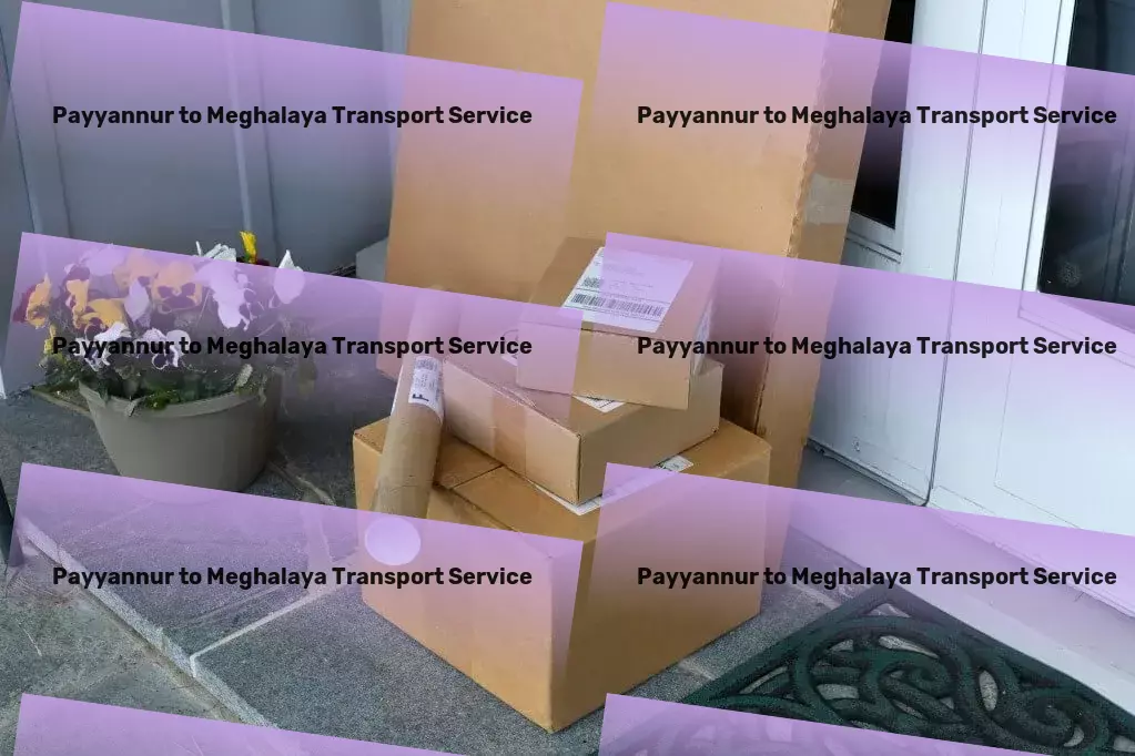 Payyannur to Meghalaya Transport Streamlining your supply chain for maximum efficiency! - Express household shipment