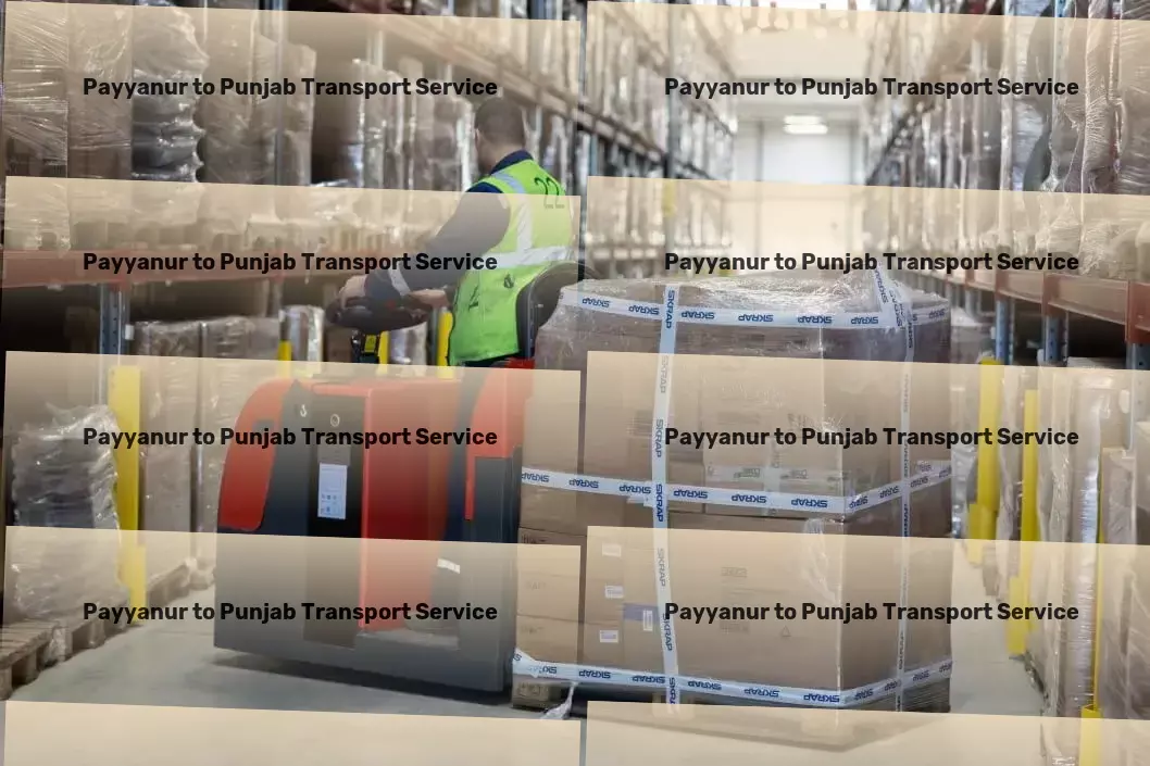 Payyanur to Punjab Transport Personal goods forwarding