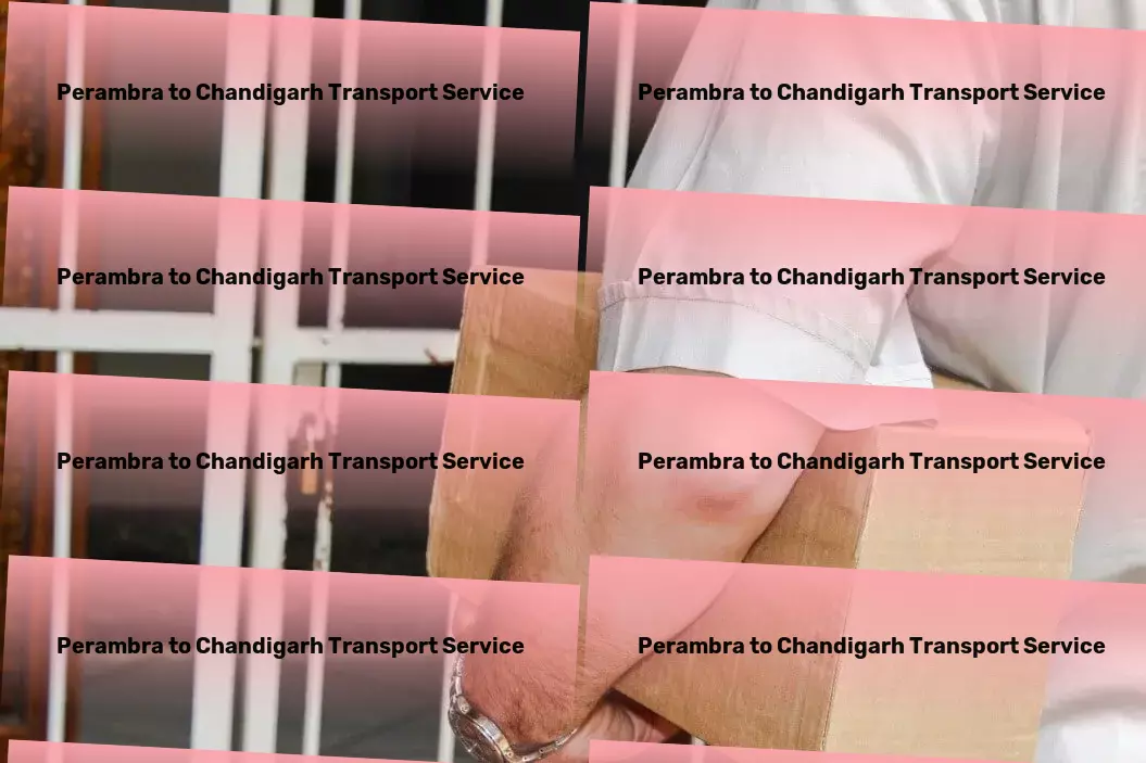 Perambra to Chandigarh Transport Professional moving services