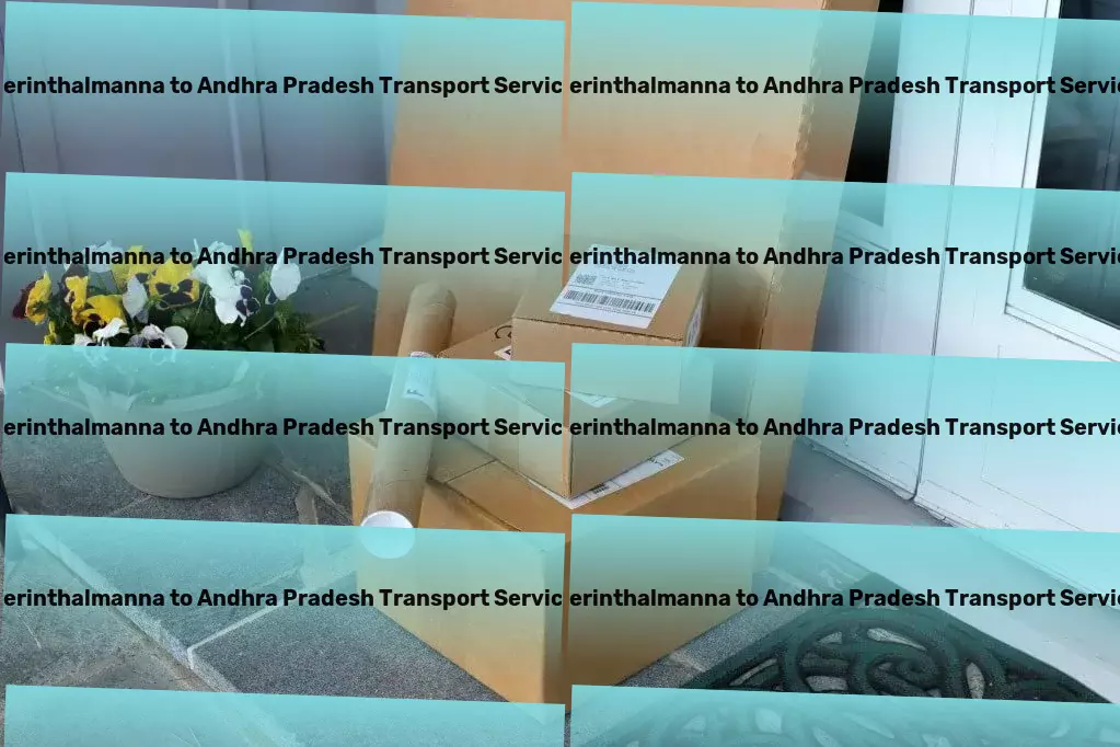 Perinthalmanna to Andhra Pradesh Transport Customized cargo logistics