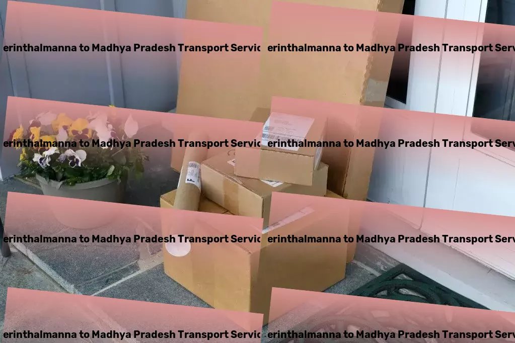 Perinthalmanna to Madhya Pradesh Transport Express logistics coordination