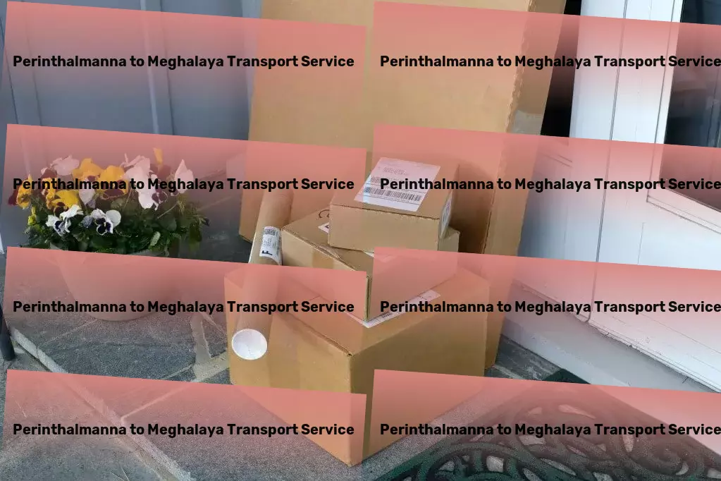 Perinthalmanna to Meghalaya Transport Changing the face of Indian transport one delivery at a time! - Distribution services