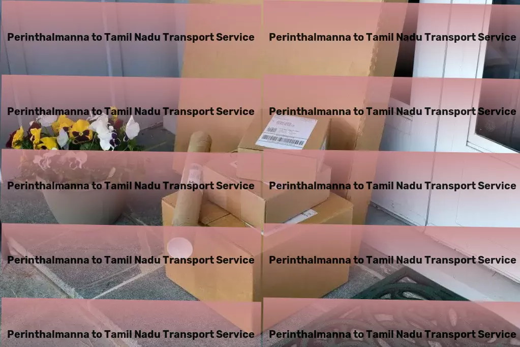 Perinthalmanna to Tamil Nadu Transport Efficient goods shipment solutions