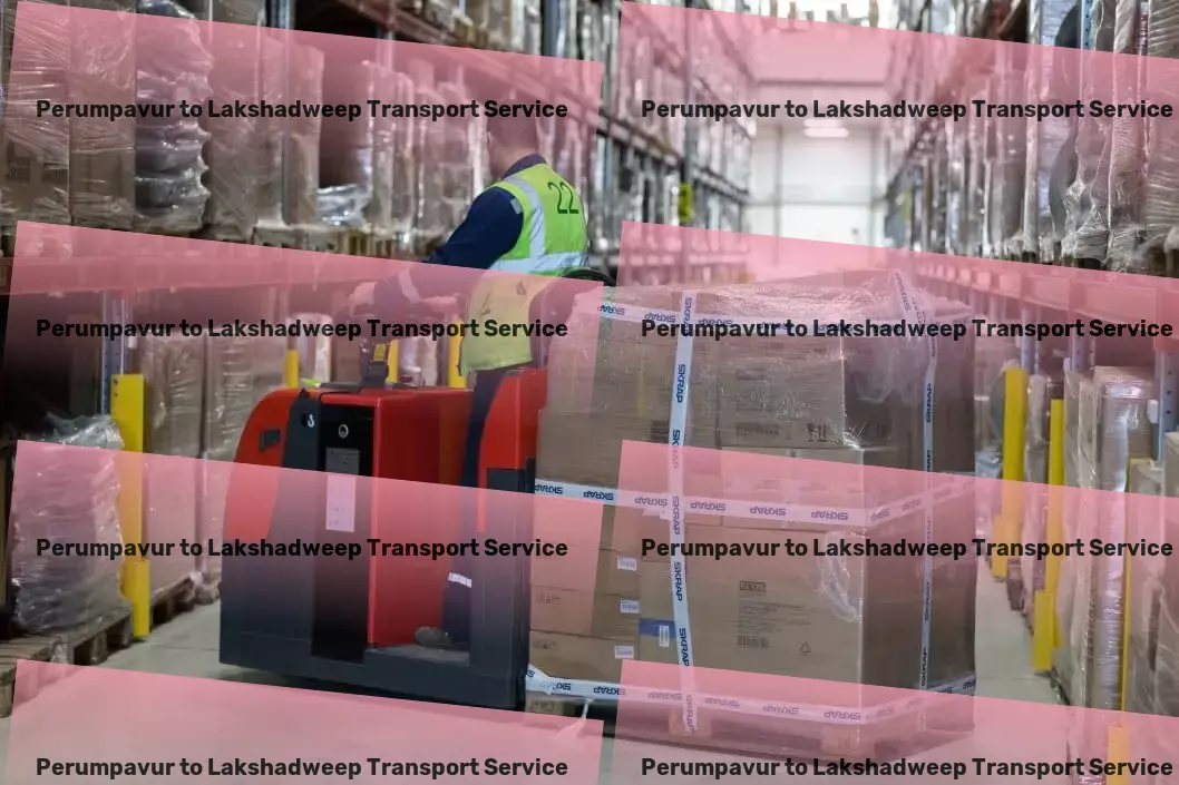 Perumpavur to Lakshadweep Transport Customized logistics services